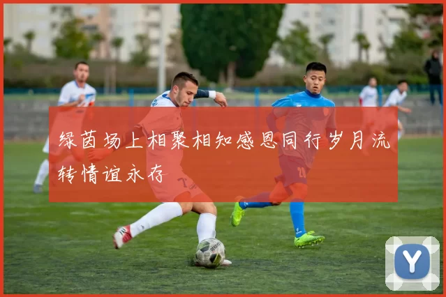 绿茵场上相聚相知感恩同行岁月流转情谊永存