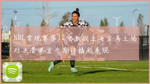 NBL常规赛第12场激战上海玄鸟主场对决香港金牛期待精彩表现