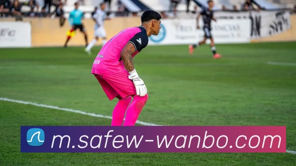 万博体育平台生态图